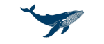WHALE